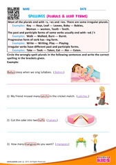 Plurals & Verb Forms