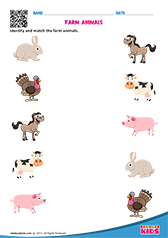 Farm Animals