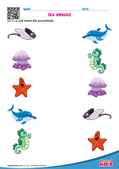 Sea Animals