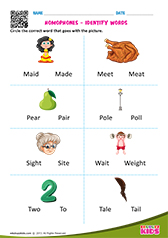 Homophones-Identify Words