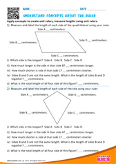 Understand concepts about the ruler