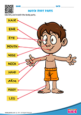 Identify and Match Body Parts