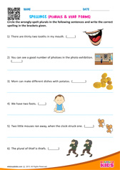 Plurals & Verb Forms