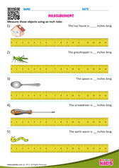 Measuring Lengths - Using Inch Ruler