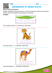 Measurements Of Various Objects