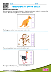 Measurements Of Various Objects