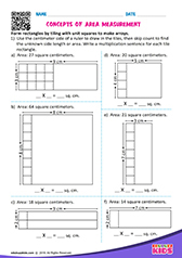 Concepts of Area Measurements