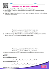 Concepts of Area Measurements