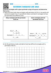 Record Number of Rectangles and Squares