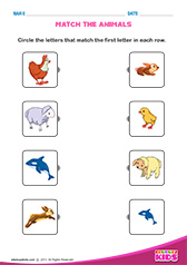 Science Match the Animals worksheets pre-k